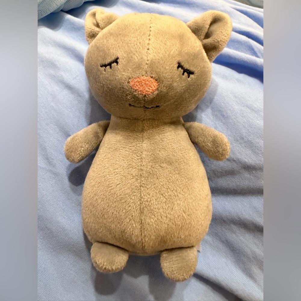Jellycat cosie kitten.